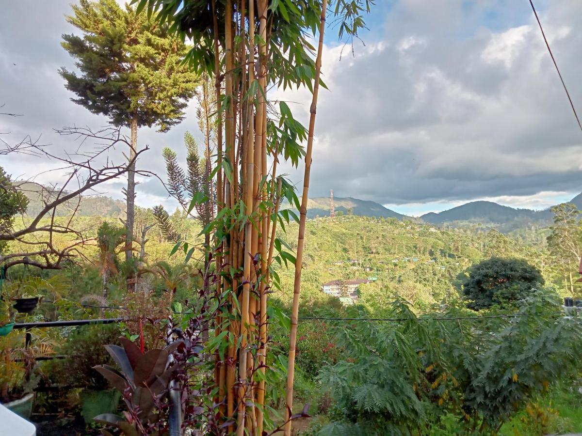 Princess Of Dickoya Homestay Hatton Buitenkant foto
