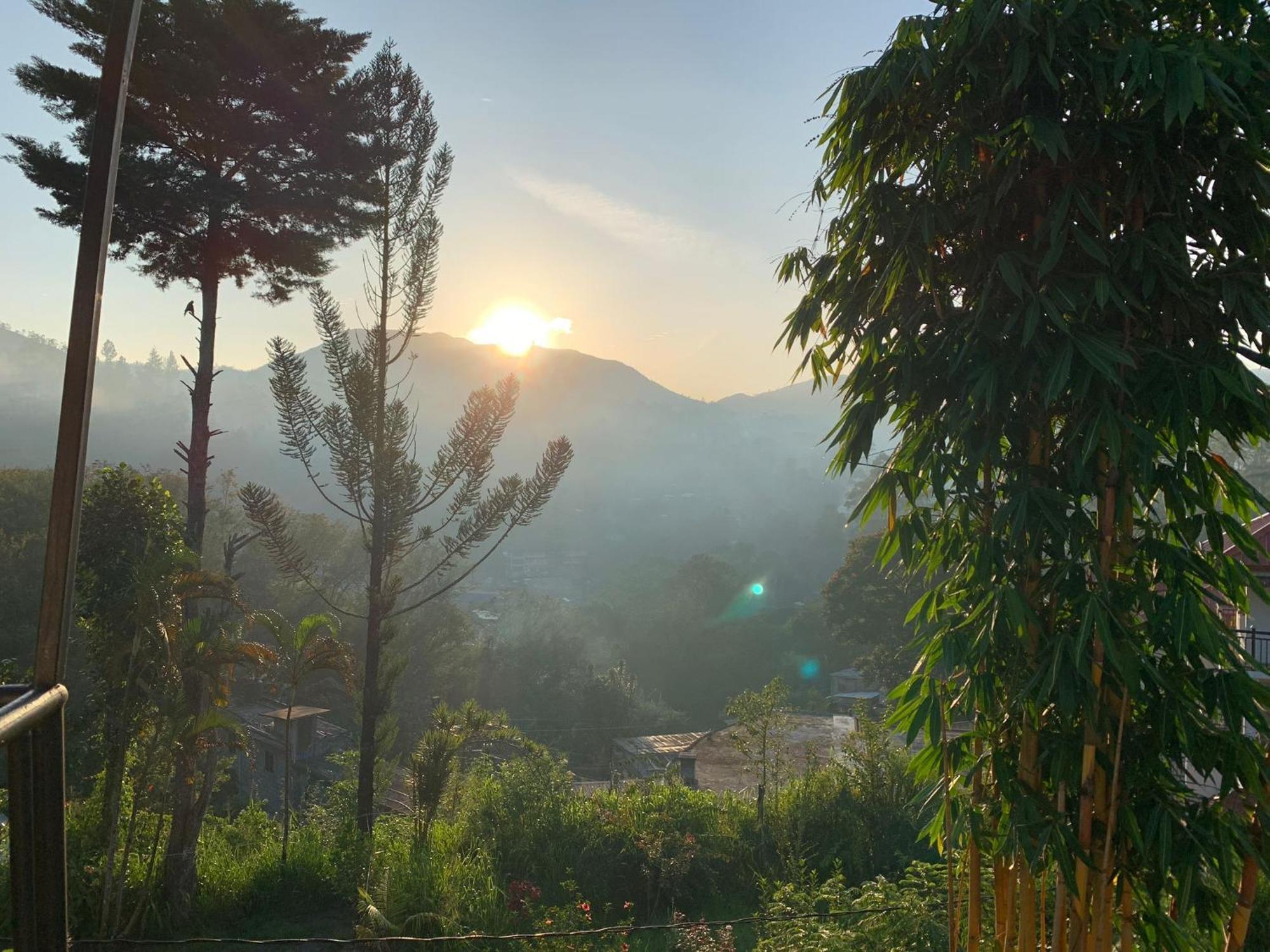 Princess Of Dickoya Homestay Hatton Kamer foto